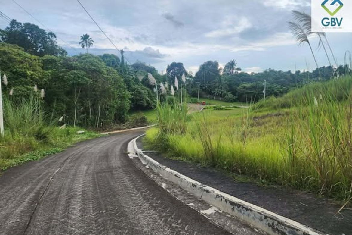 Land for Sale in Tigatto, Davao City, Davao del Sur – photo 4
