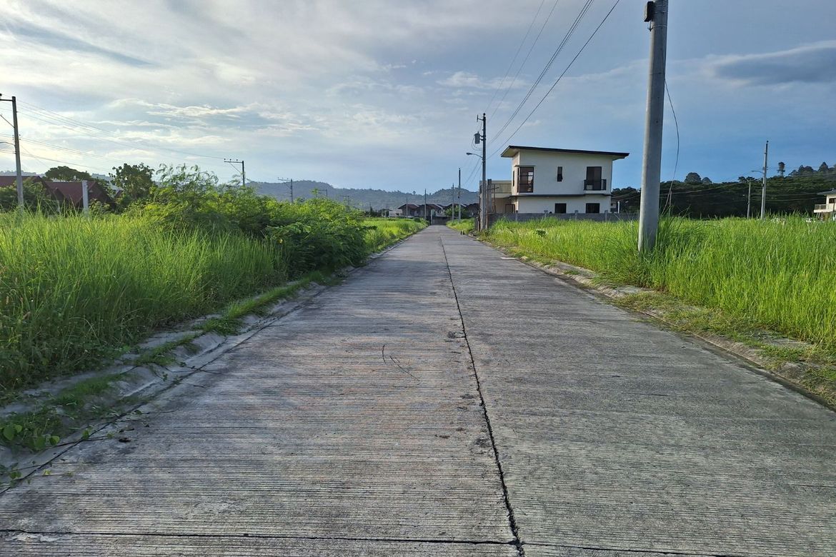 Land for Sale in Tigatto, Davao City, Davao del Sur – photo 2