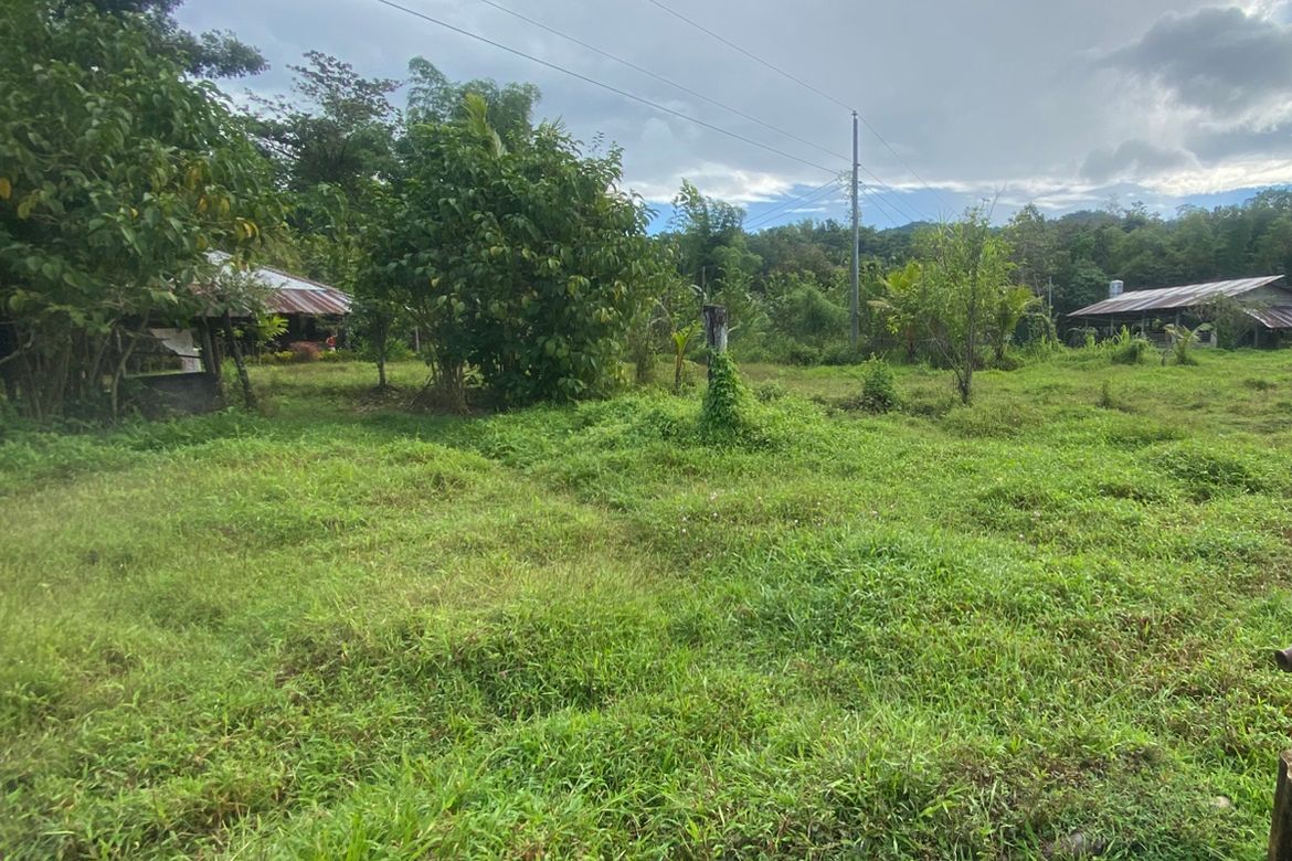 Land for Sale in Tigbalua I, Sibalom, Antique – photo 3