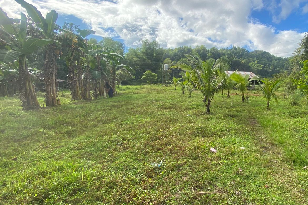 Land for Sale in Tigbalua I, Sibalom, Antique – photo 4