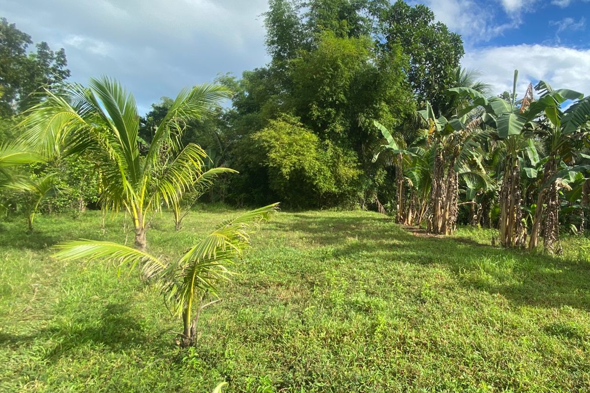 Land for Sale in Tigbalua I, Sibalom, Antique – photo 5