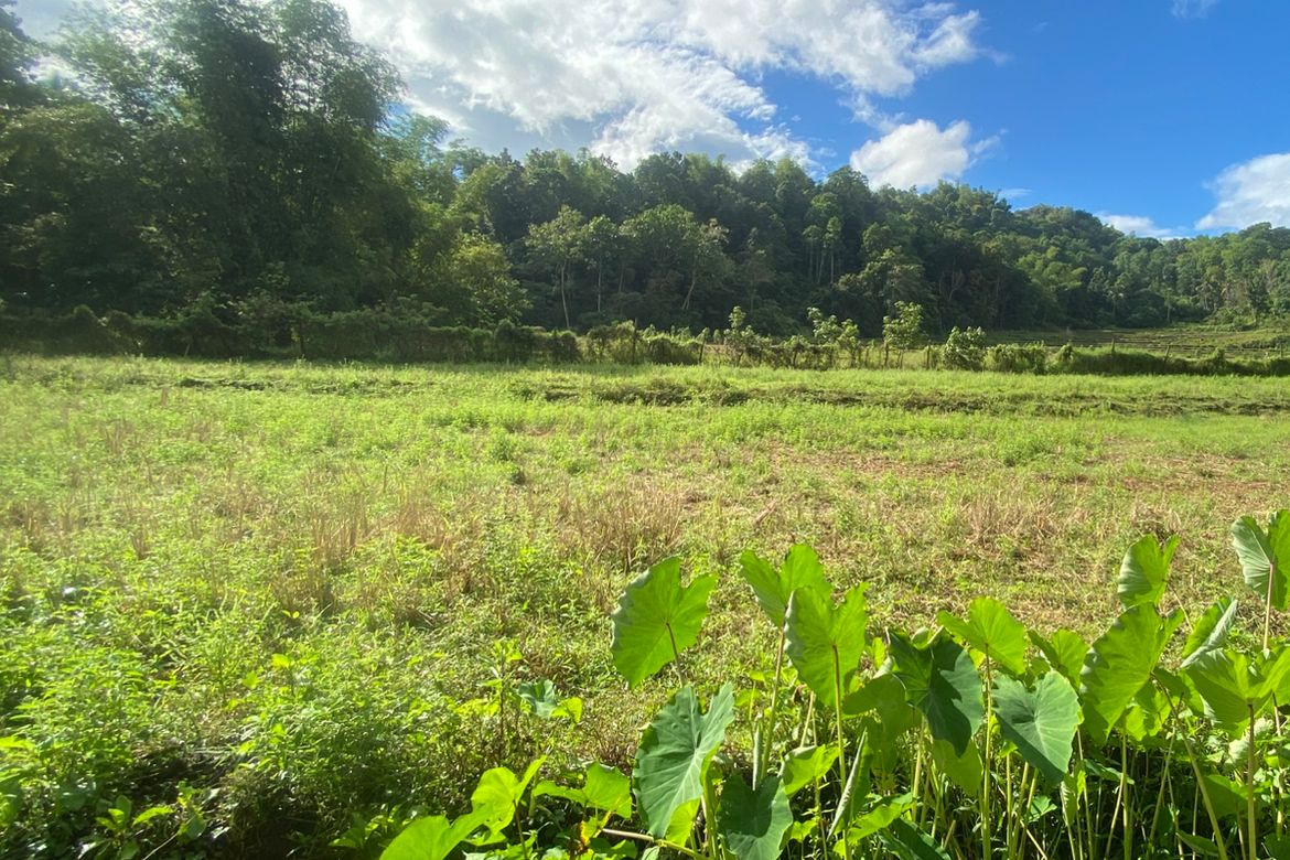 Land for Sale in Tigbalua I, Sibalom, Antique – photo 6