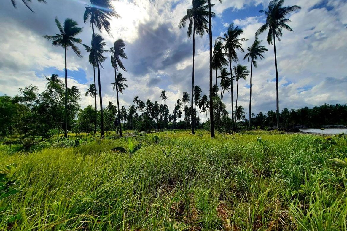 Land for Sale in Tigman, Aborlan, Palawan – photo 6
