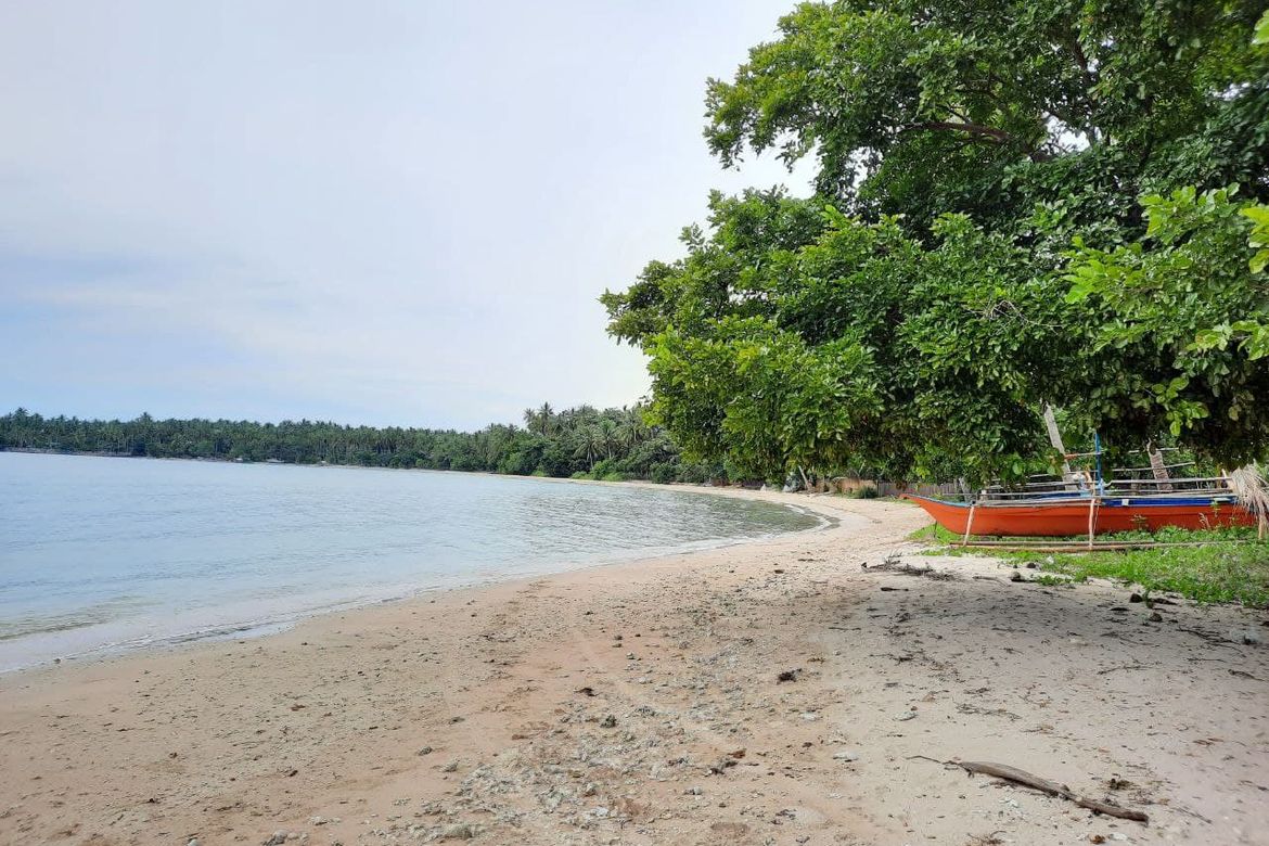 Land for Sale in Tigman, Aborlan, Palawan – photo 8
