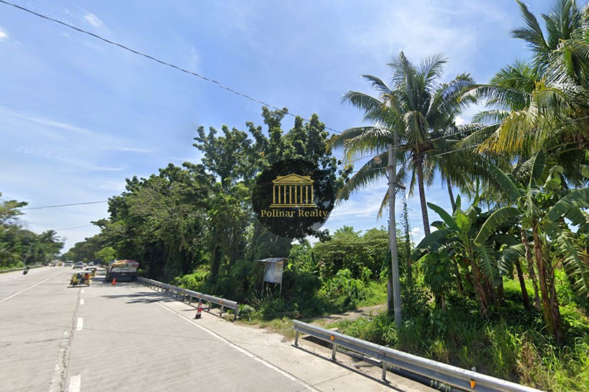 Land for Sale in Tiguman, Digos, Davao del Sur – photo 3