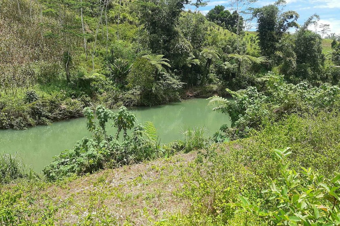Land for Sale in Tikalaan, Talakag, Bukidnon