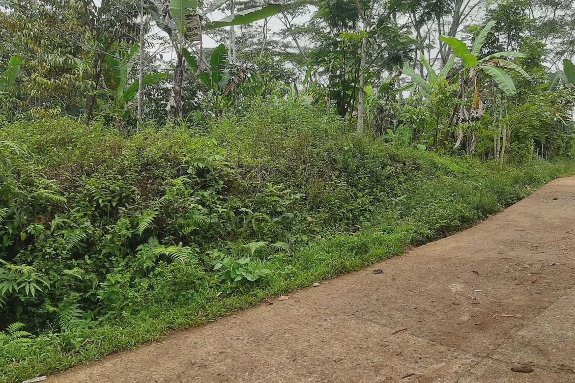 Land for Sale in Tikalaan, Talakag, Bukidnon – photo 2