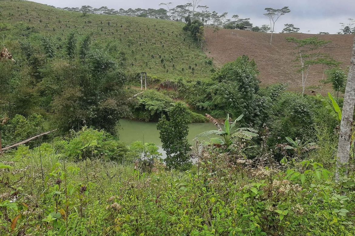 Land for Sale in Tikalaan, Talakag, Bukidnon – photo 3
