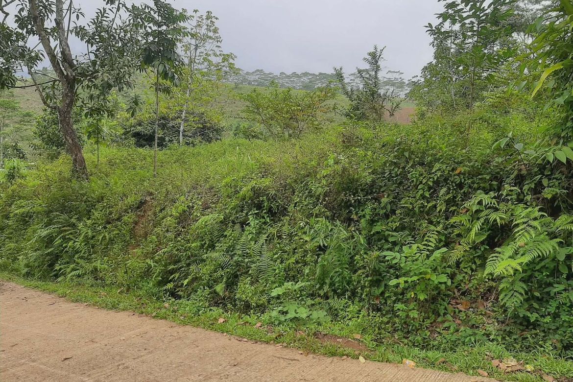 Land for Sale in Tikalaan, Talakag, Bukidnon – photo 4
