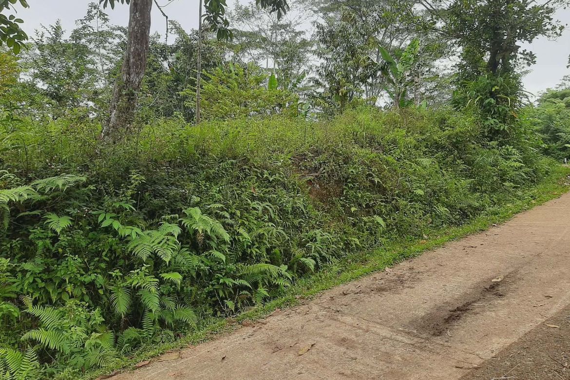 Land for Sale in Tikalaan, Talakag, Bukidnon – photo 6