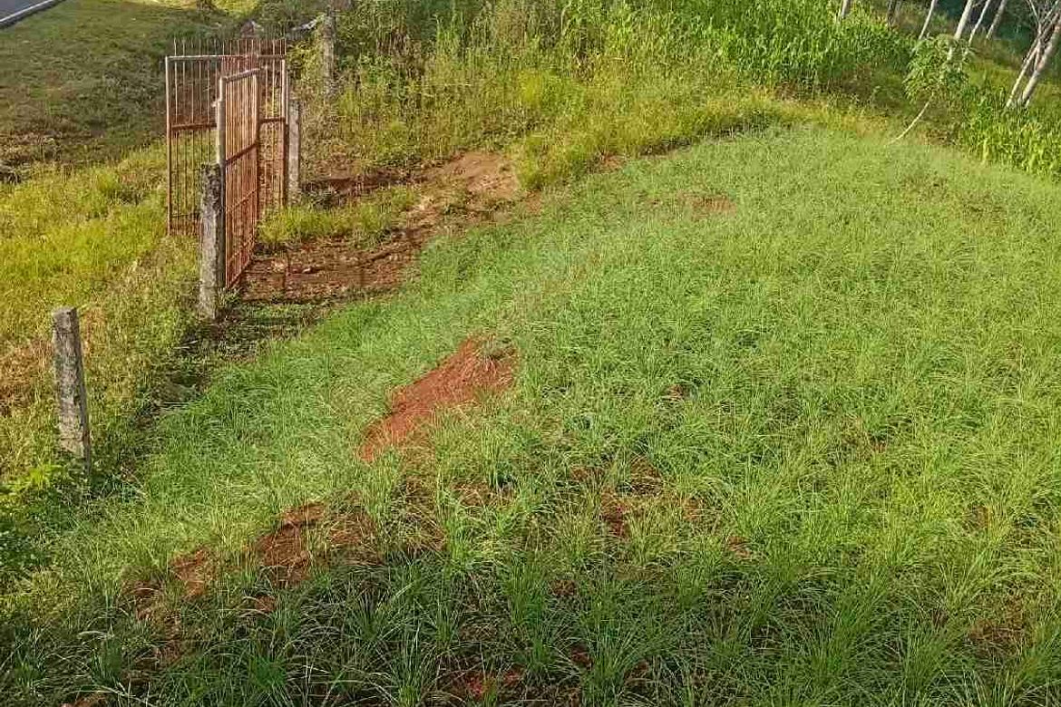 Land for Sale in Tikalaan, Talakag, Bukidnon – photo 3