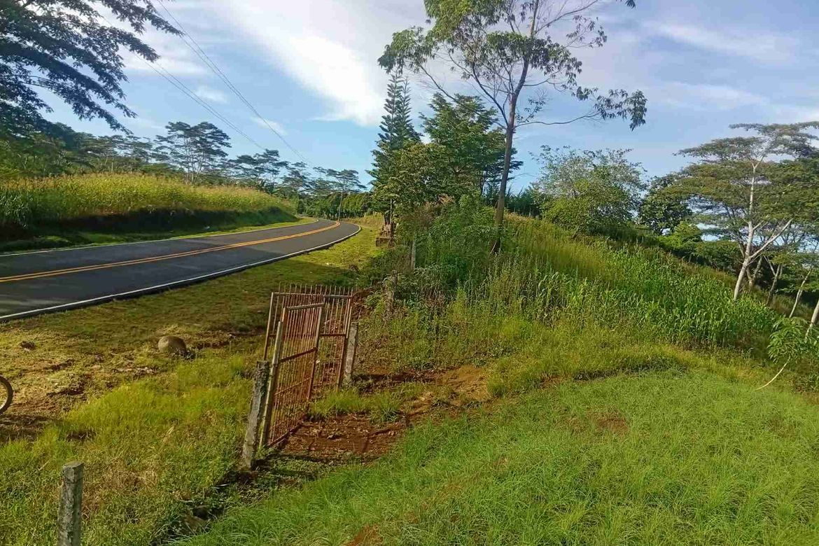 Land for Sale in Tikalaan, Talakag, Bukidnon – photo 5