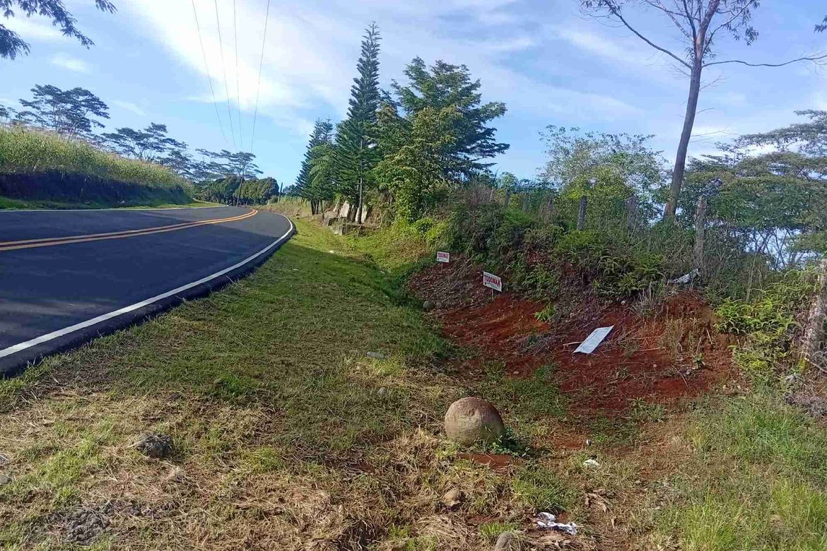 Land for Sale in Tikalaan, Talakag, Bukidnon – photo 7