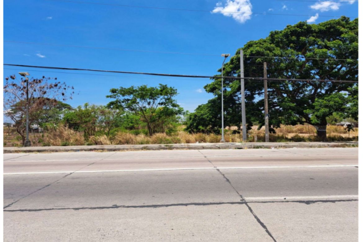 Land for Sale in Timalan Balsahan, Naic, Cavite – photo 5
