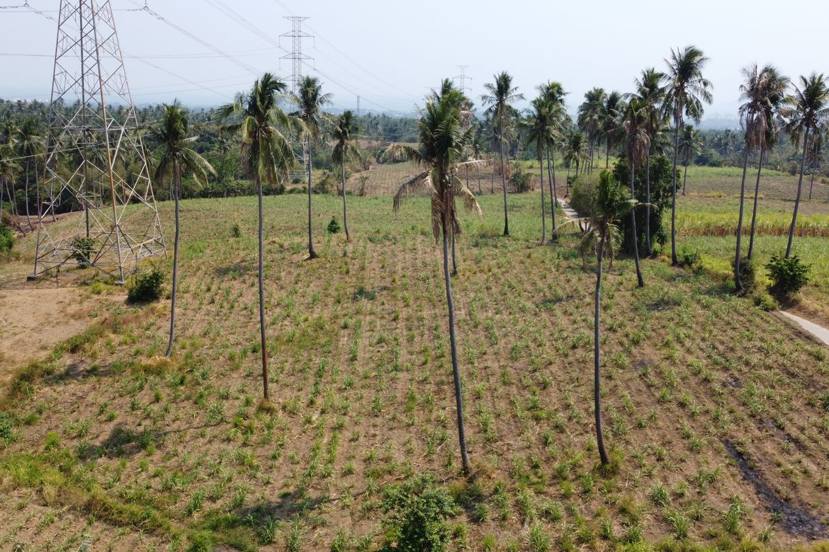 Land for Sale in Timbain, Calaca, Batangas – photo 3
