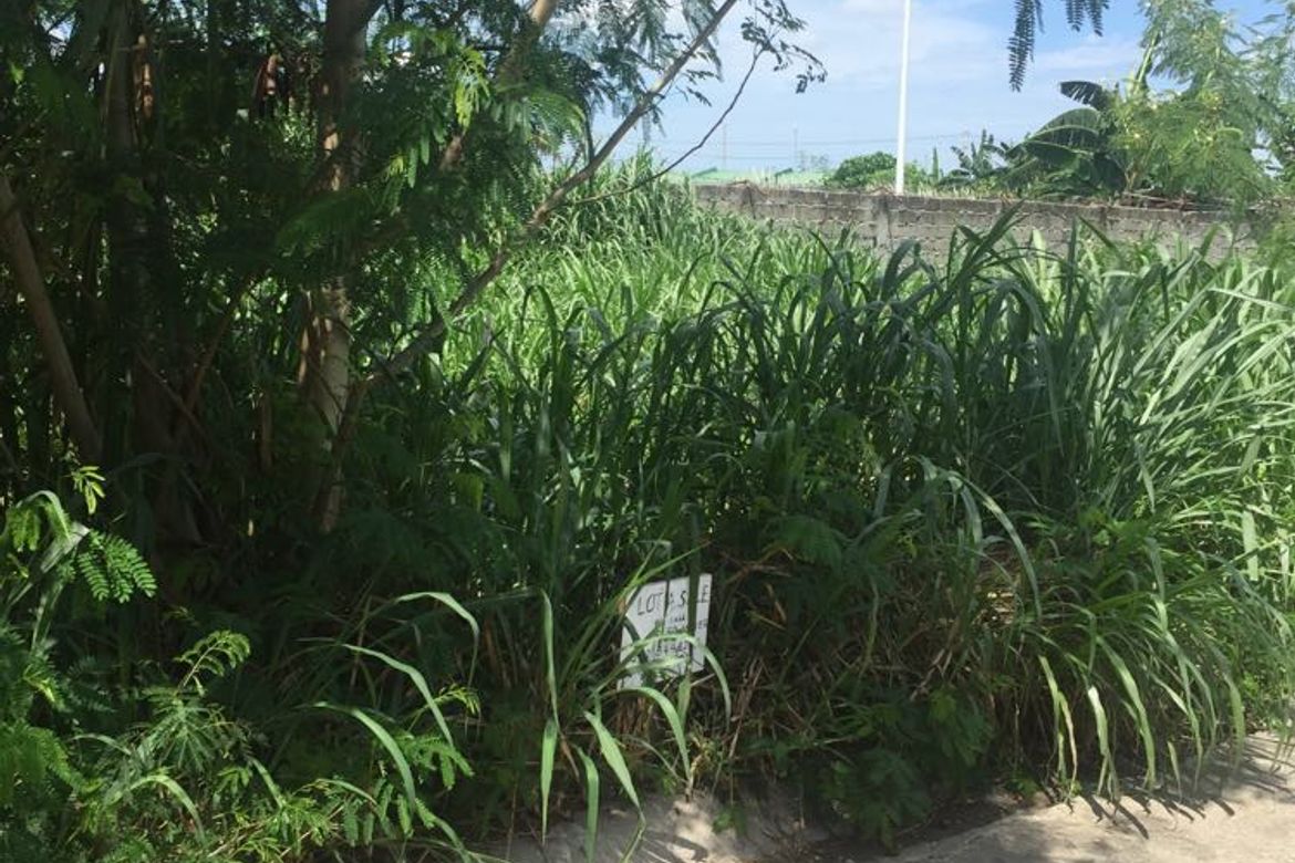 Land for Sale in Timbao, Biñan, Laguna – photo 3