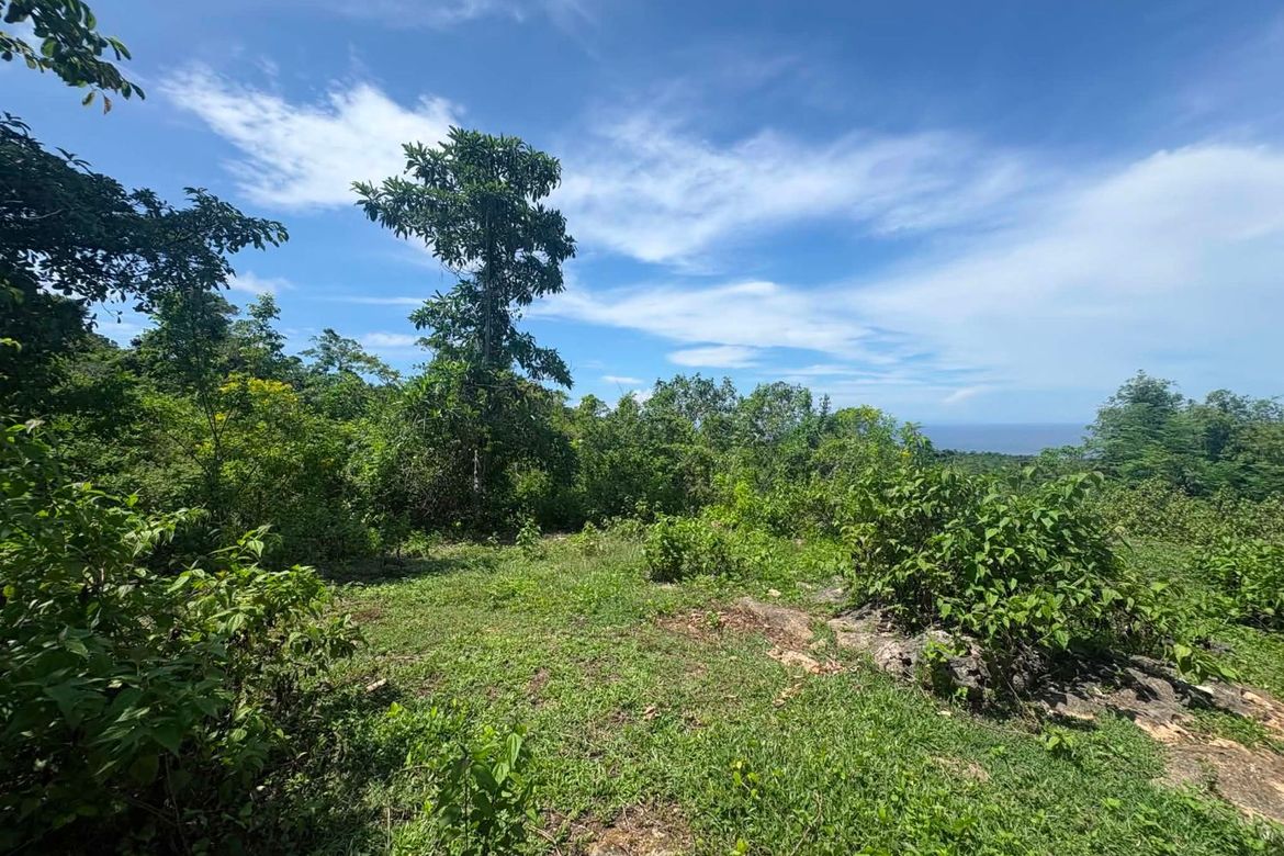 Land for Sale in Timbaon, San Juan, Siquijor – photo 2