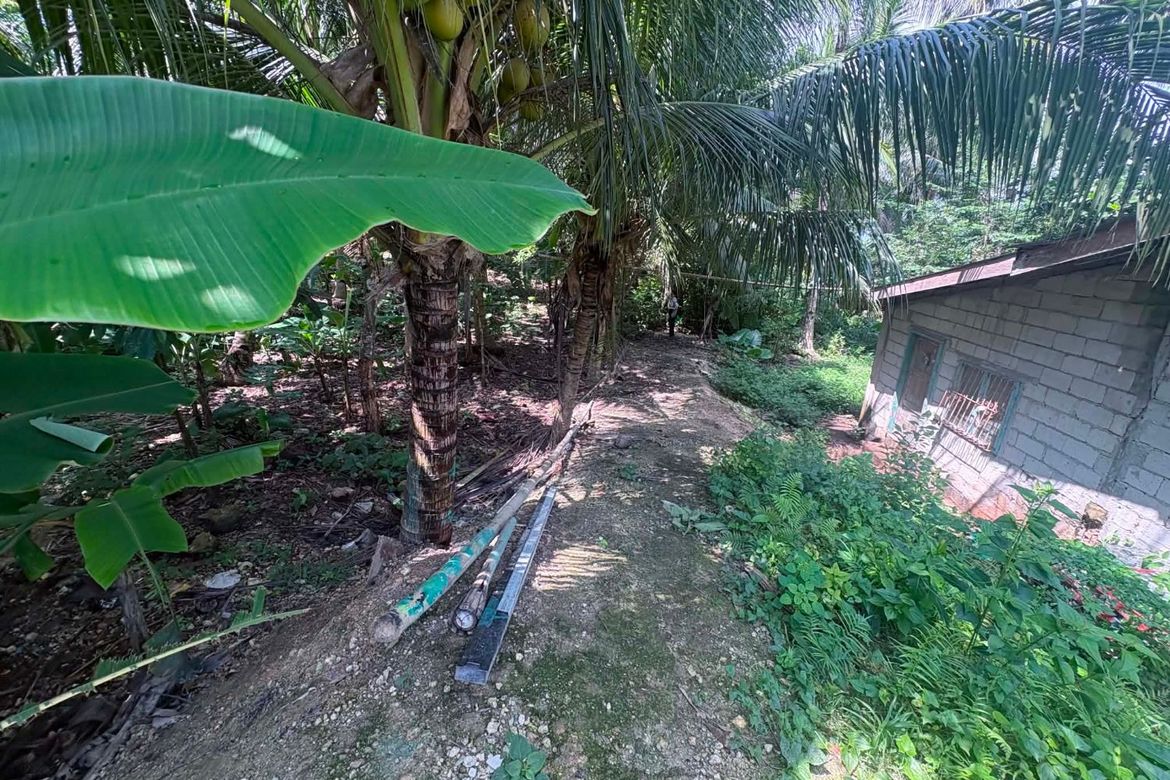Land for Sale in Timbaon, San Juan, Siquijor – photo 4