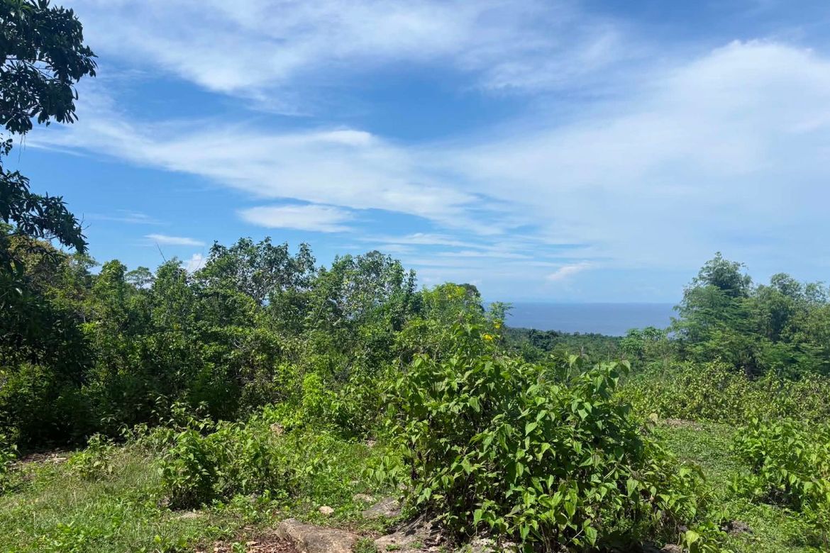 Land for Sale in Timbaon, San Juan, Siquijor – photo 5