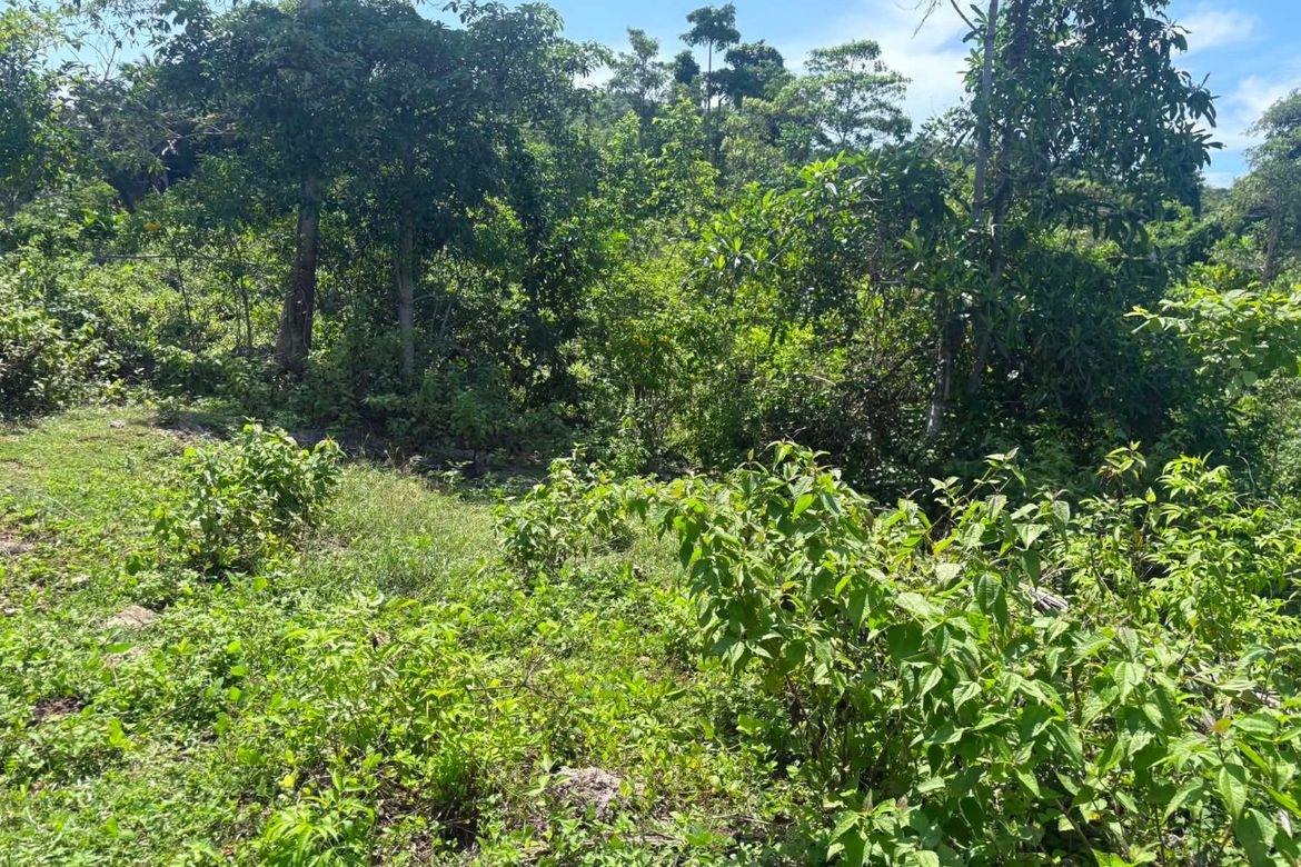 Land for Sale in Timbaon, San Juan, Siquijor – photo 6
