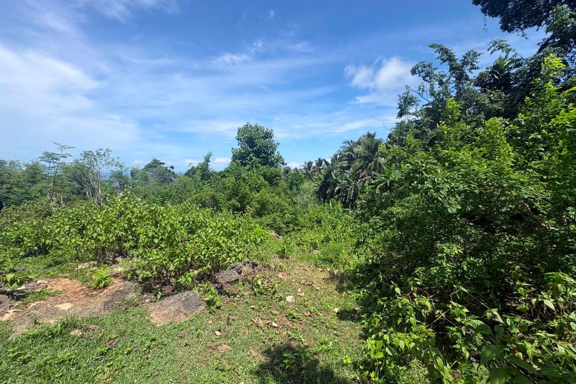Land for Sale in Timbaon, San Juan, Siquijor – photo 8