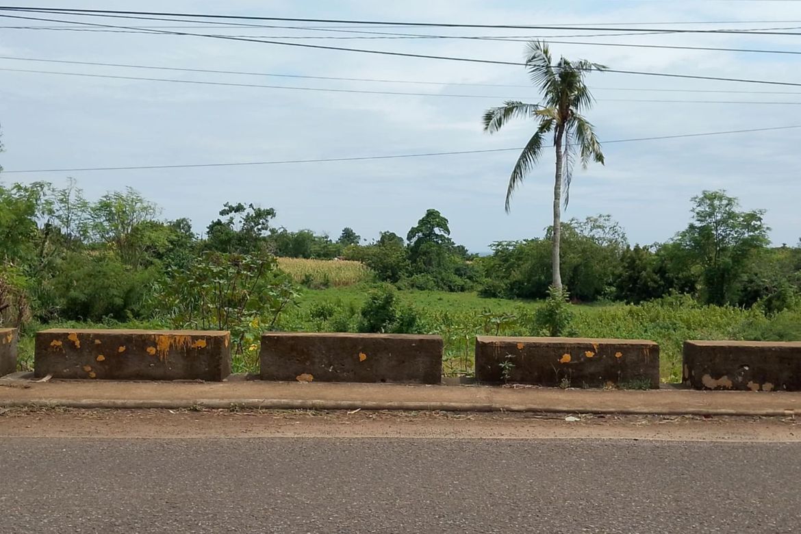 Land for Sale in Timbaon, San Juan, Siquijor