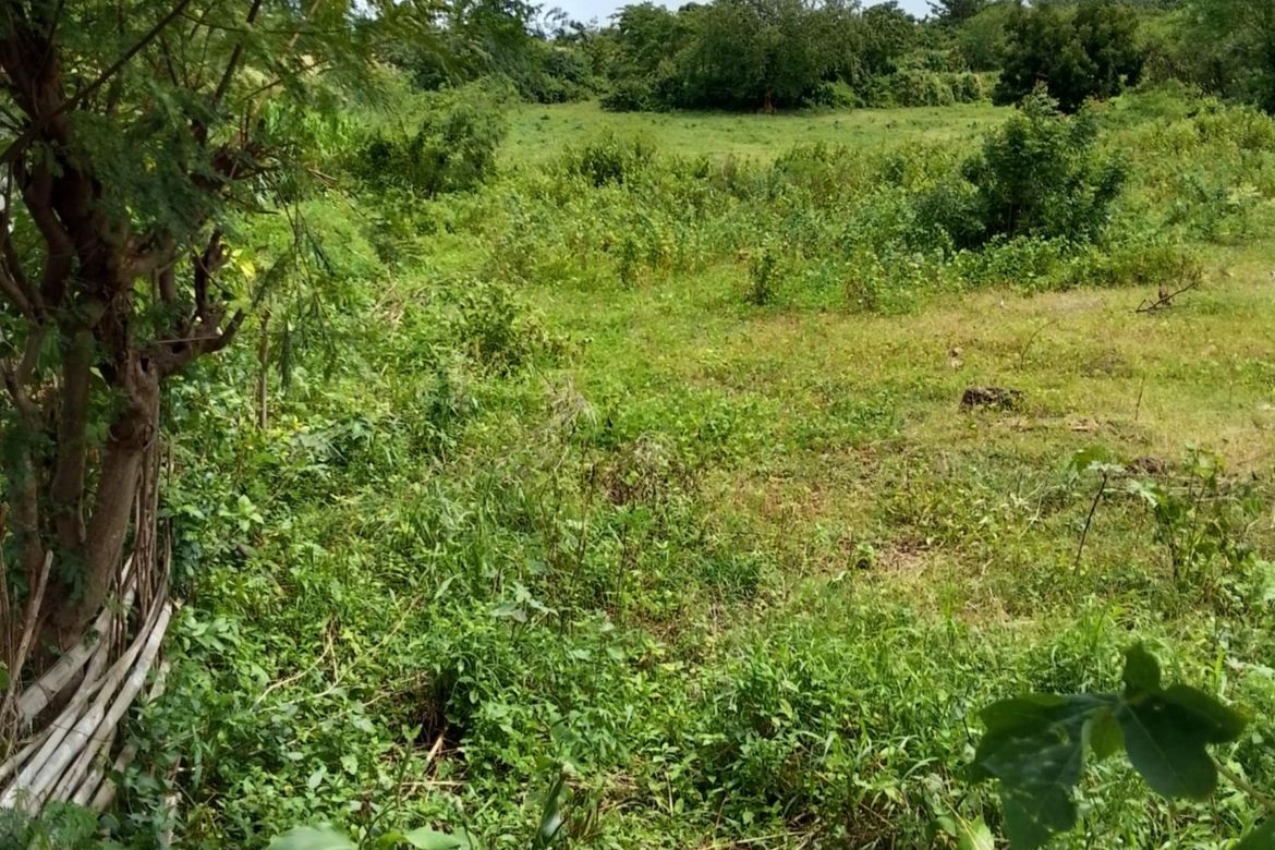 Land for Sale in Timbaon, San Juan, Siquijor – photo 2