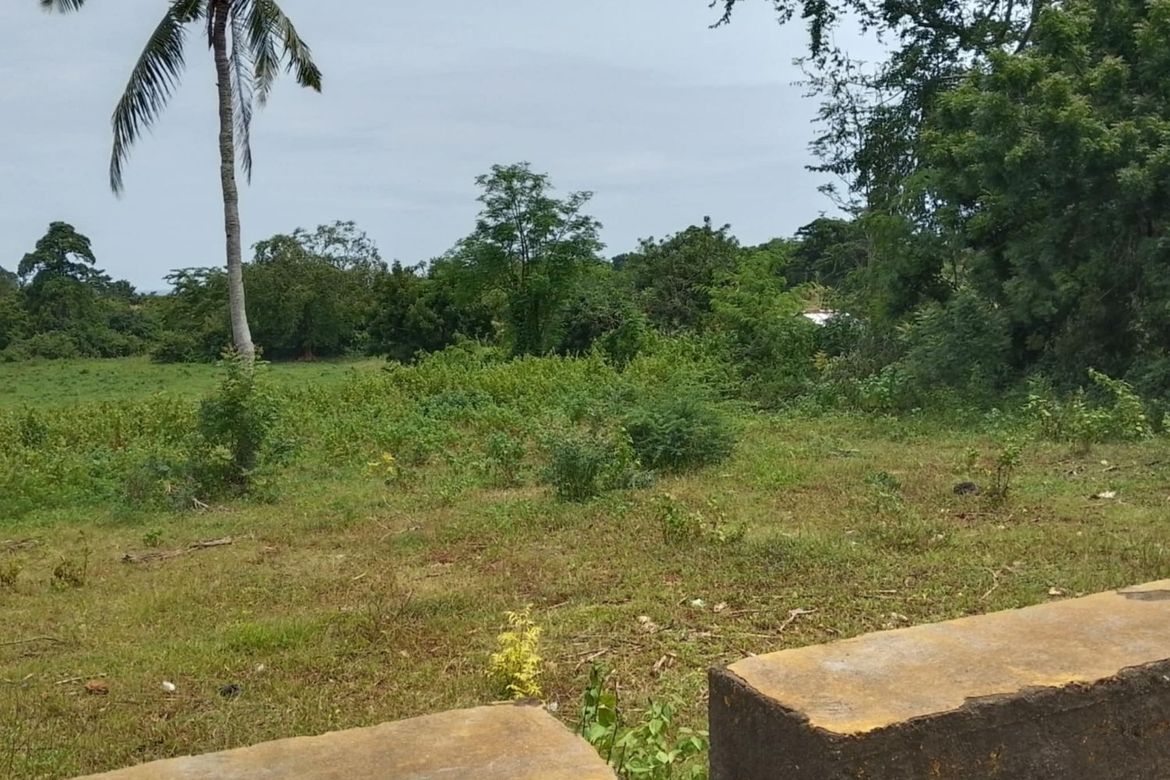 Land for Sale in Timbaon, San Juan, Siquijor – photo 3