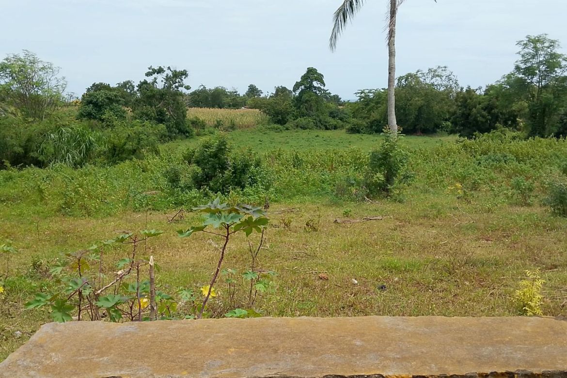 Land for Sale in Timbaon, San Juan, Siquijor – photo 4