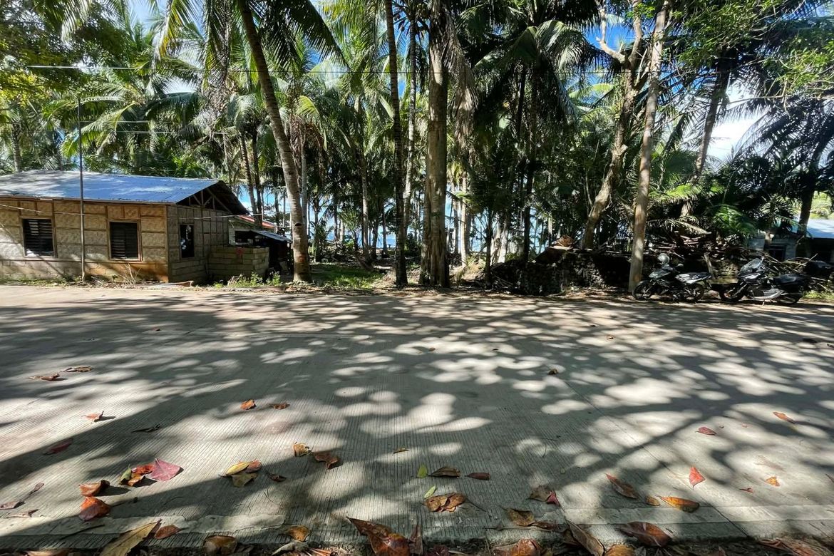 Land for Sale in Timbaon, San Juan, Siquijor – photo 5