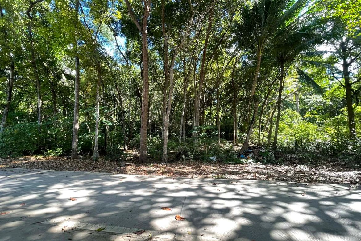 Land for Sale in Timbaon, San Juan, Siquijor – photo 6