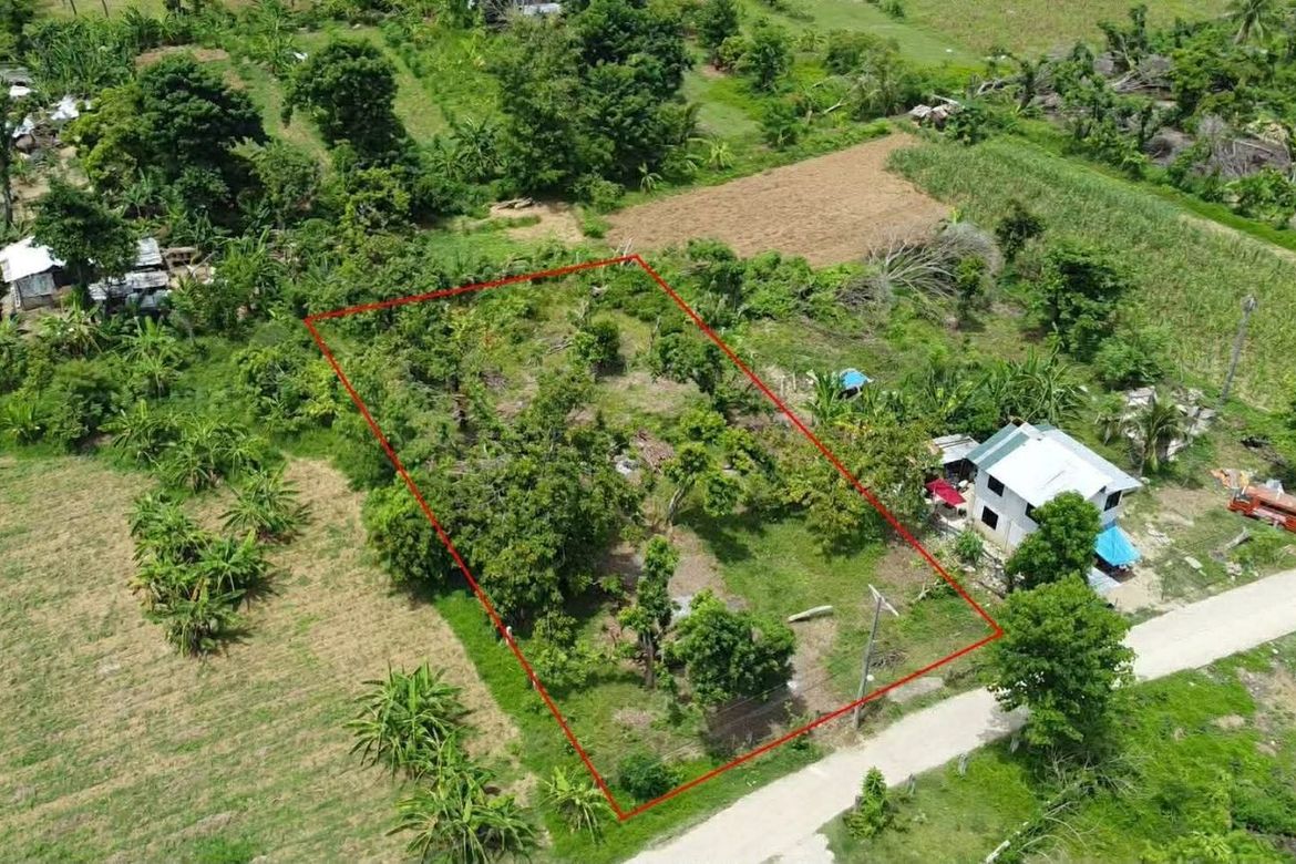 Land for Sale in Tinaan, Naga, Cebu – photo 2