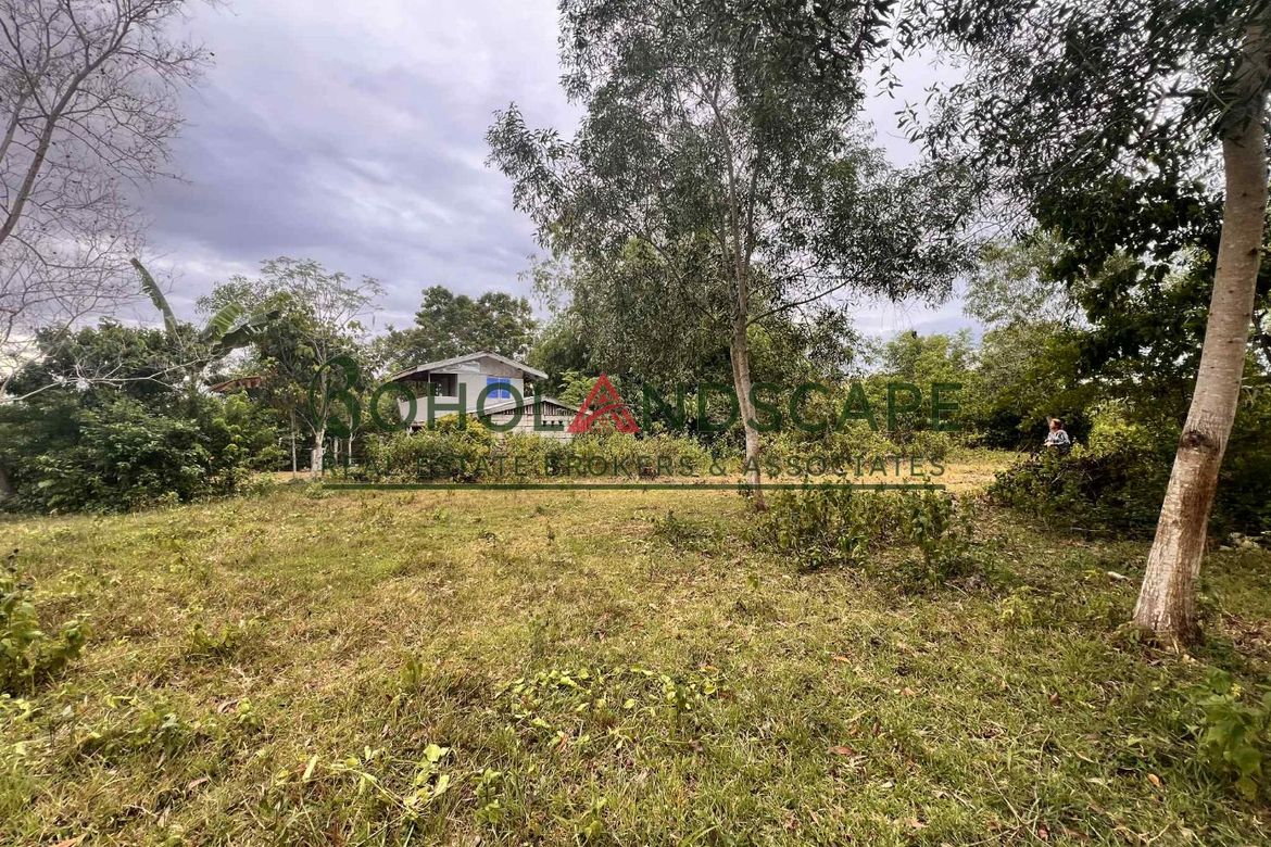 Land for Sale in Tinago, Dauis, Bohol – photo 2