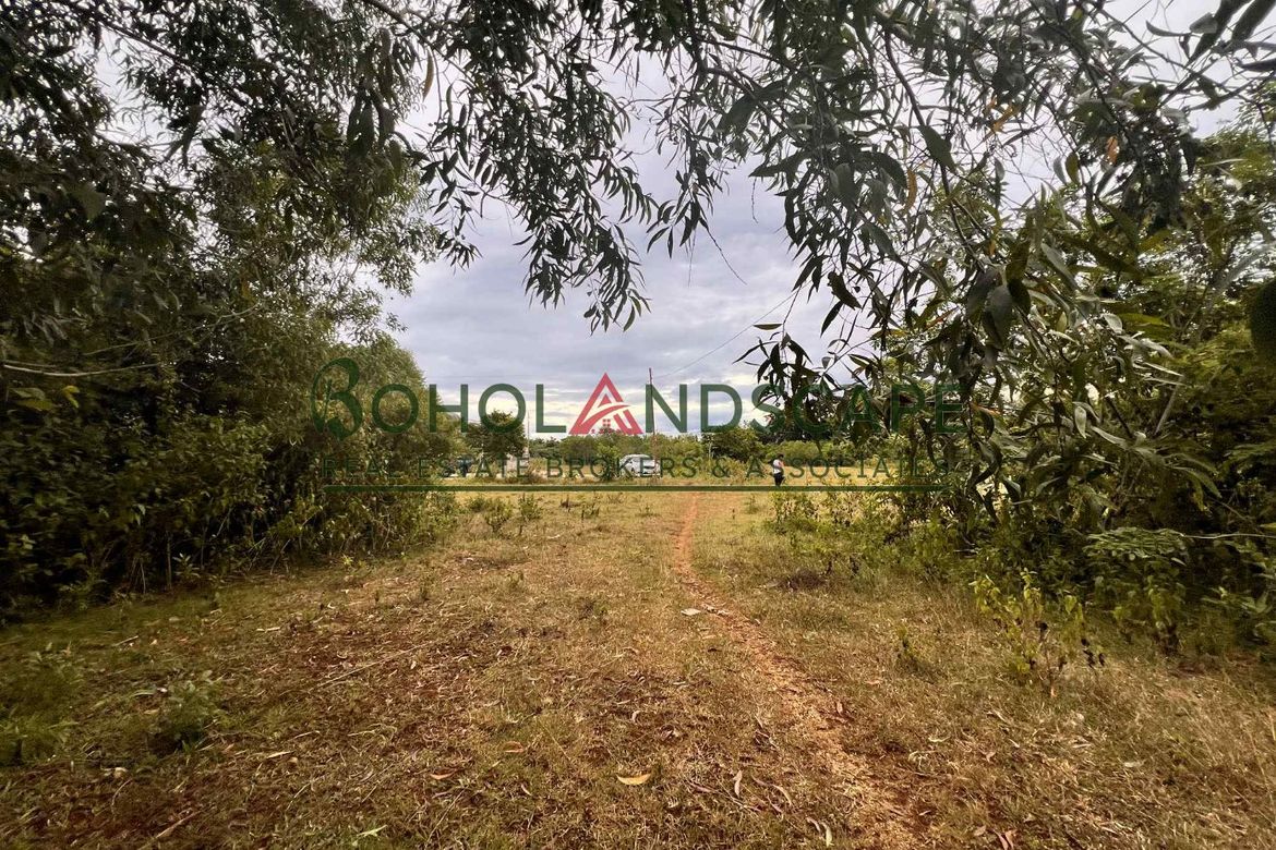 Land for Sale in Tinago, Dauis, Bohol – photo 3