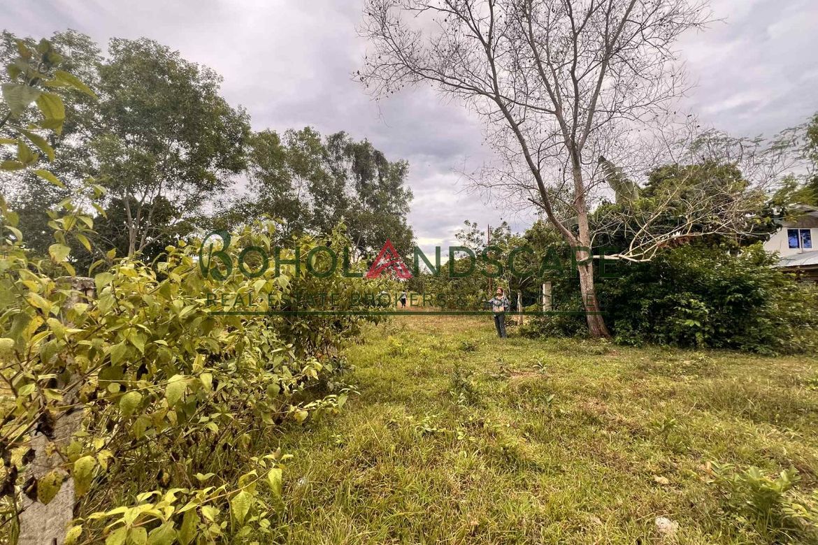 Land for Sale in Tinago, Dauis, Bohol – photo 6