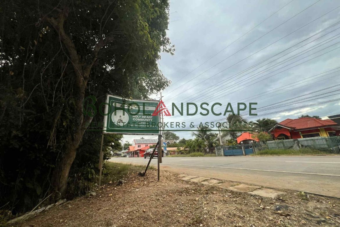 Land for Sale in Tinago, Dauis, Bohol – photo 8