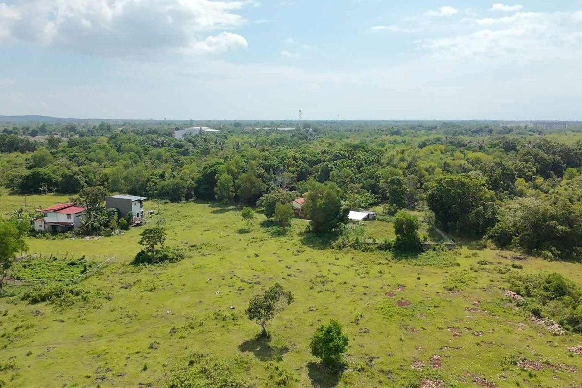 Land for Sale in Tinago, Dauis, Bohol – photo 2