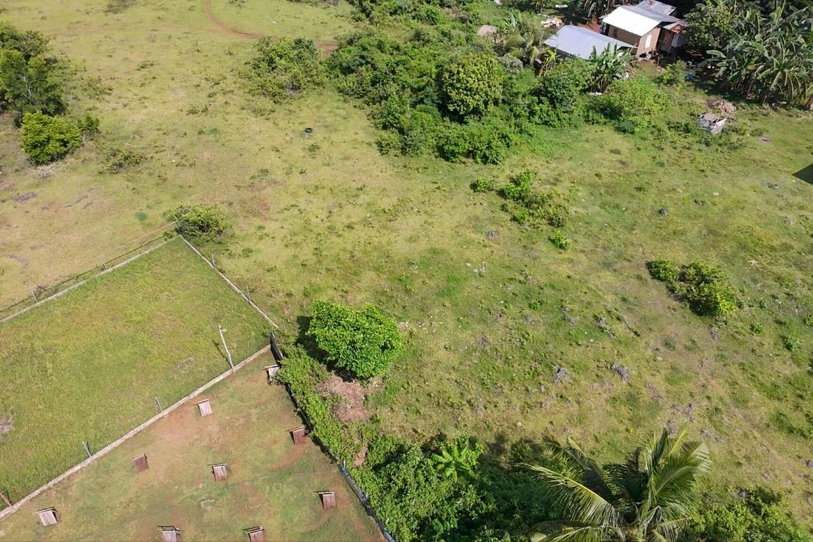 Land for Sale in Tinago, Dauis, Bohol – photo 4