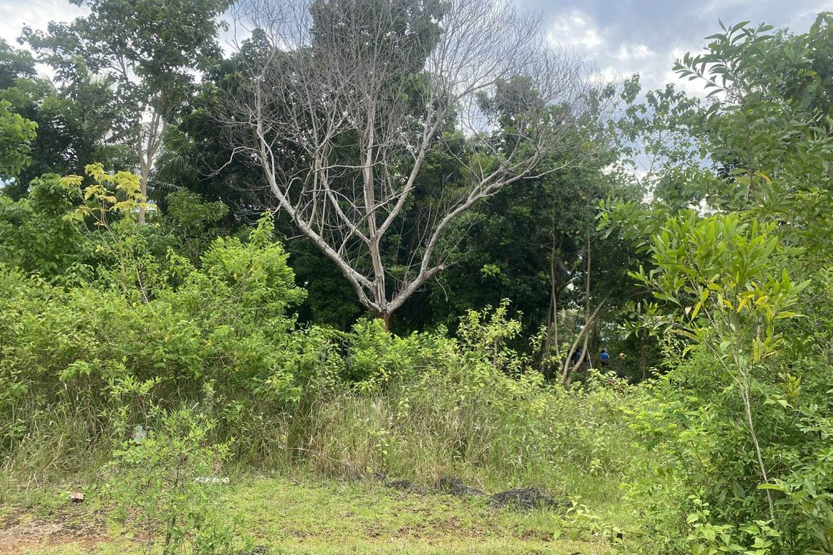 Land for Sale in Tinago, Dauis, Bohol – photo 3