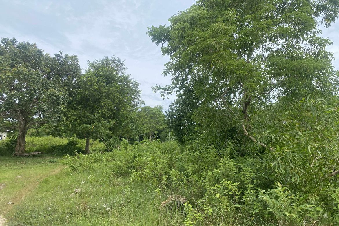 Land for Sale in Tinago, Dauis, Bohol – photo 7