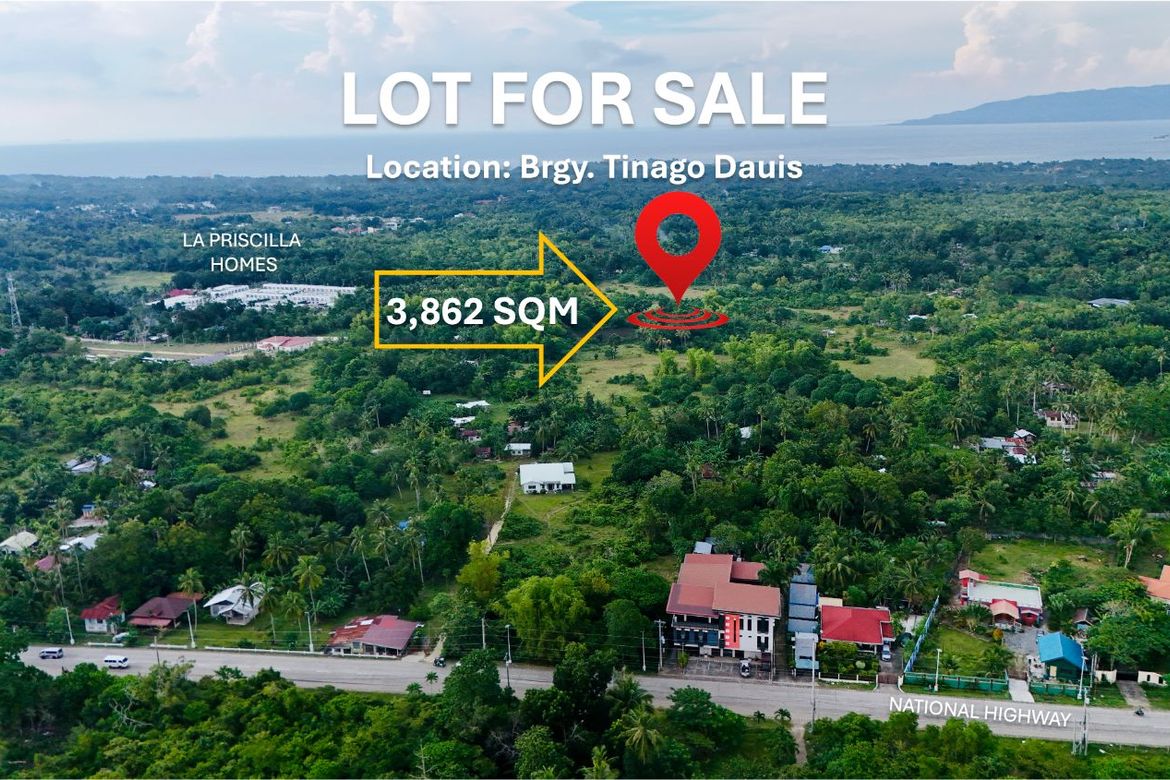 Land for Sale in Tinago, Dauis, Bohol
