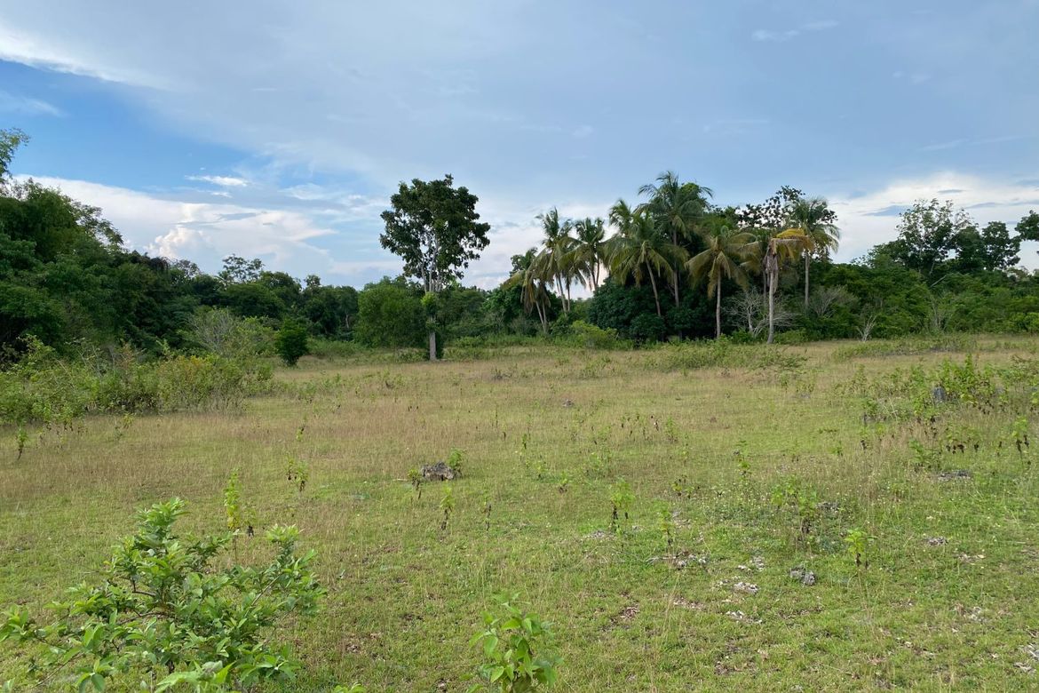 Land for Sale in Tinago, Dauis, Bohol – photo 3