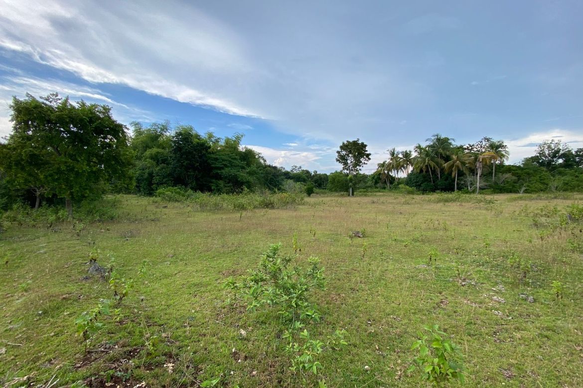 Land for Sale in Tinago, Dauis, Bohol – photo 4