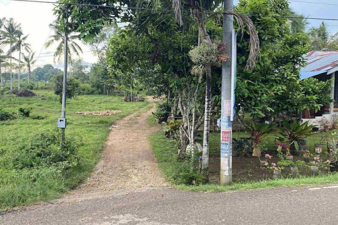Land for Sale in Tinago, Dauis, Bohol