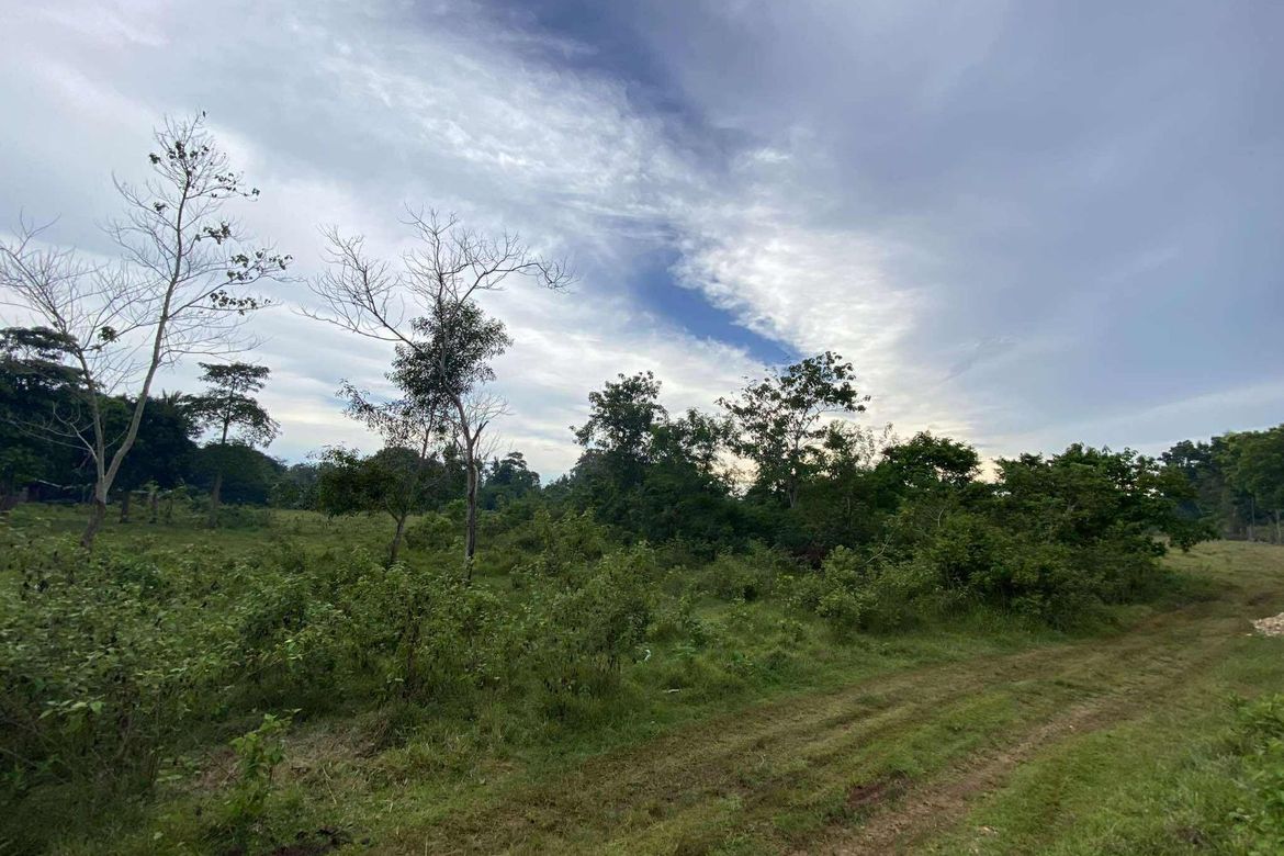 Land for Sale in Tinago, Dauis, Bohol – photo 4