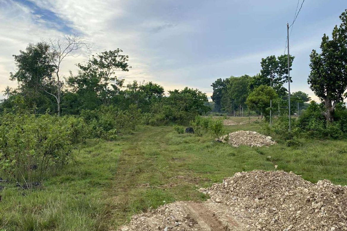 Land for Sale in Tinago, Dauis, Bohol – photo 5
