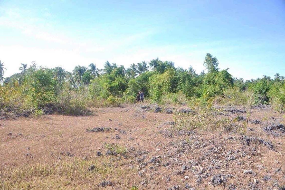 Land for Sale in Tinago, Dauis, Bohol – photo 3