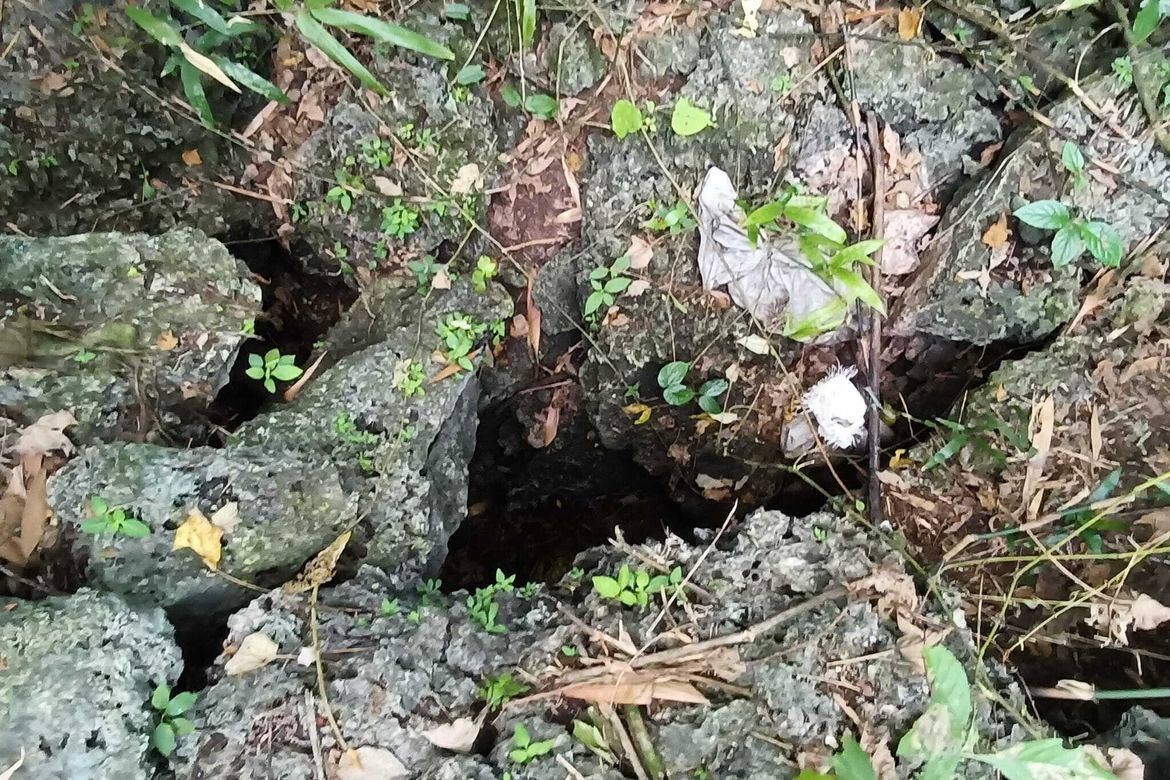 Land for Sale in Tinago, Dauis, Bohol – photo 5