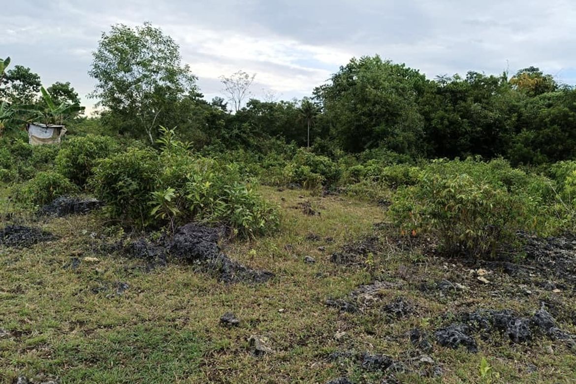 Land for Sale in Tinago, Dauis, Bohol – photo 8