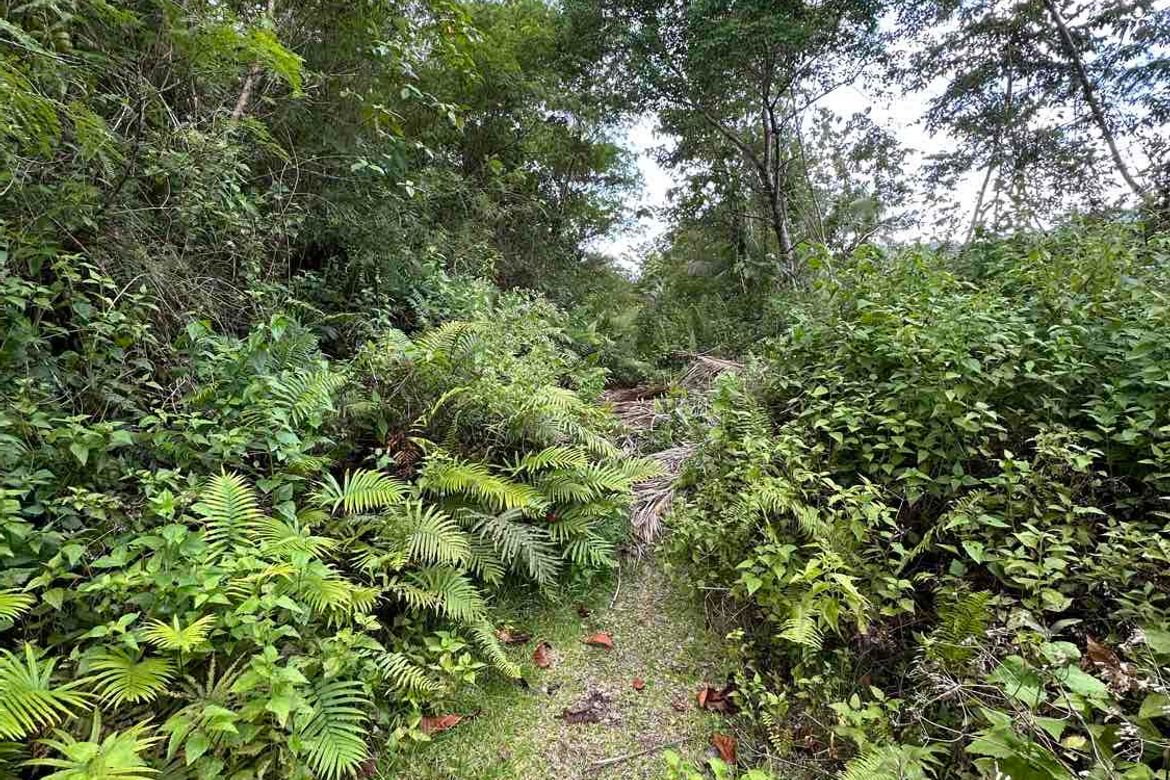 Land for Sale in Tinibgan, Maribojoc, Bohol – photo 6